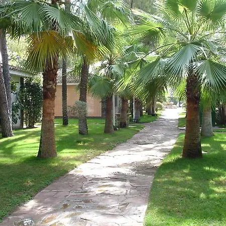 Resort Oasis-3
