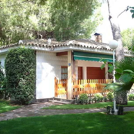 Resort Oasis-2